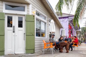 dog friendly restaurants in Sarasota