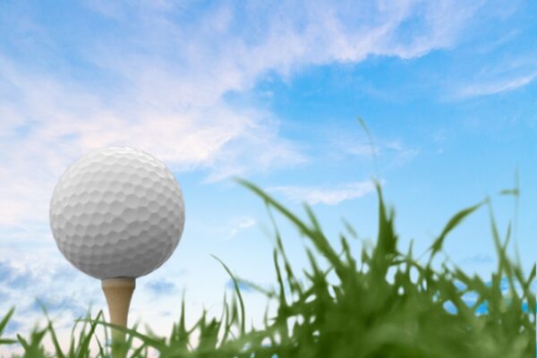 Best neighborhoods for golf in lakewood ranch