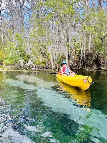 water excursions in bradenton